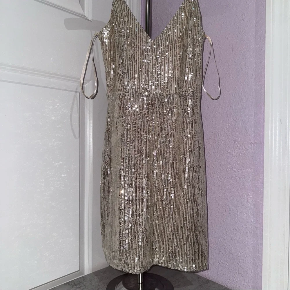 Windsor Sequin Dress Size Small - Picture 2 of 5